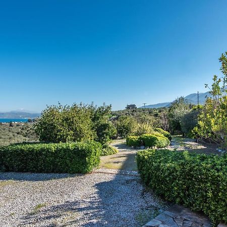 Olive Garden Vila Exopoli المظهر الخارجي الصورة